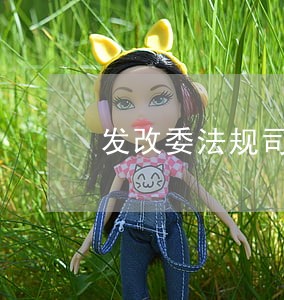 发改委法规司杨