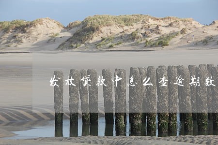 发放贷款中怎么查逾期数据 发放贷款中怎么查逾期数据