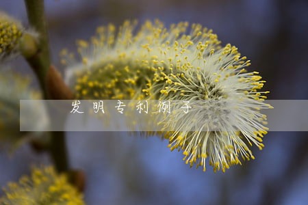 发明专利例子