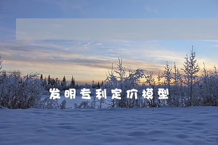 发明专利定价模型 发明专利定价模型