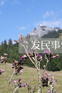 发民事债务律师函多少钱