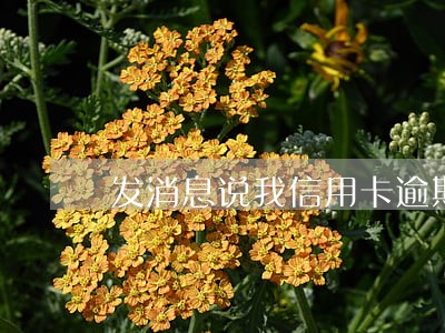 发消息说我信用卡逾期 发消息说我信用卡逾期