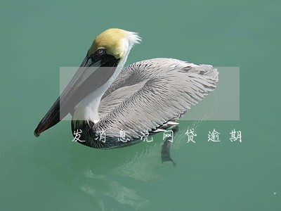 发消息说网贷逾期 发消息说网贷逾期