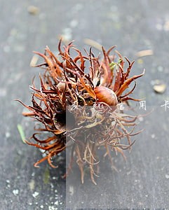 发现信用卡有4次逾期 发现信用卡有4次逾期