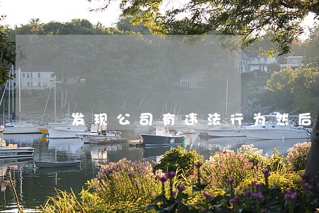 发现公司有违法行为然后自动离职 发现公司有违法行为然后自动离职