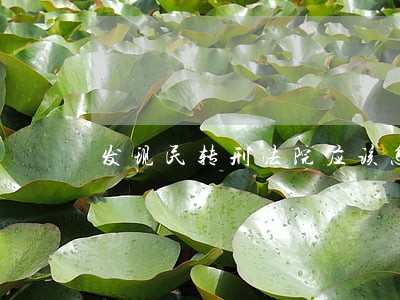 发现民转刑法院应该怎么处 发现民转刑法院应该怎么处