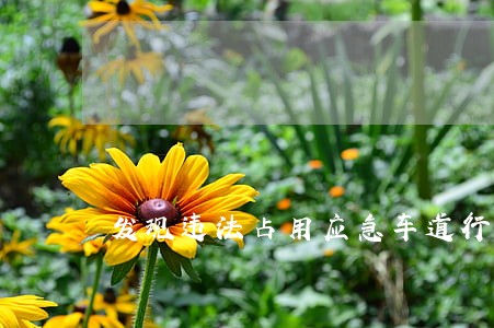 发现违法占用应急车道行为 发现违法占用应急车道行为