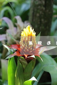 发现违法行为大家就举报 发现违法行为大家就举报