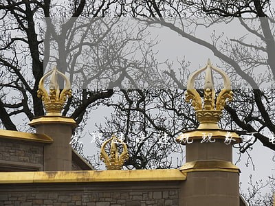 发现违法违规现象可电话举报 发现违法违规现象可电话举报