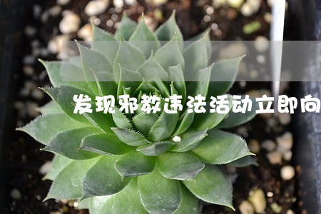 发现邪教违法活动立即向什么举报 发现邪教违法活动立即向什么举报