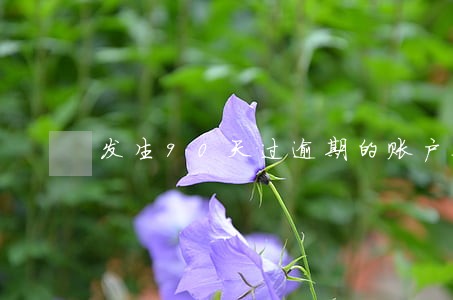 发生90天过逾期的账户数2 发生90天过逾期的账户数2