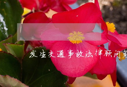 发生交通事故法律顾问免费咨询 发生交通事故法律顾问免费咨询