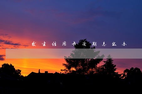 发生信用卡逾期怎么办 发生信用卡逾期怎么办