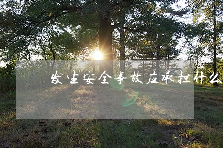 发生安全事故应承担什么法律责任 发生安全事故应承担什么法律责任