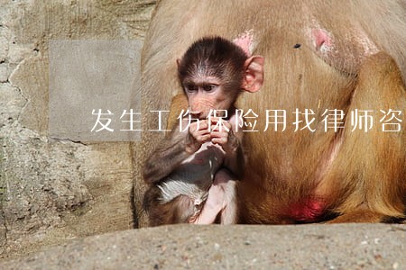 发生工伤保险用找律师咨询一下吗 发生工伤保险用找律师咨询一下吗