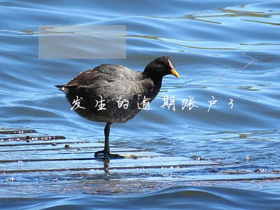 发生的逾期账户3 发生的逾期账户3