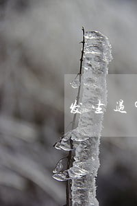 发生过90天以上逾期账户数2 发生过90天以上逾期账户数2