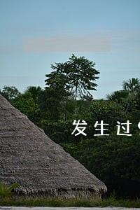 发生过90天逾期的账户 发生过90天逾期的账户