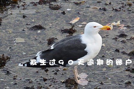 发生过90天逾期的账户数1 发生过90天逾期的账户数1