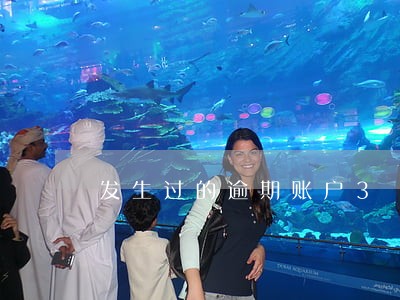 发生过的逾期账户3 发生过的逾期账户3