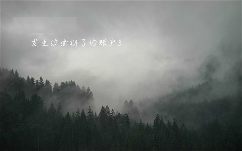 发生过逾期了的账户3 发生过逾期了的账户3