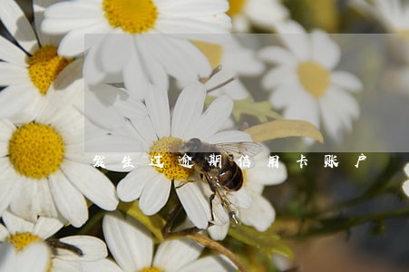 发生过逾期信用卡账户 发生过逾期信用卡账户