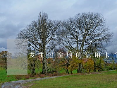 发生过逾期的信用卡个数 发生过逾期的信用卡个数