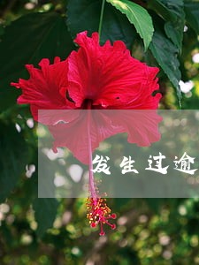 发生过逾期的账户1 发生过逾期的账户1
