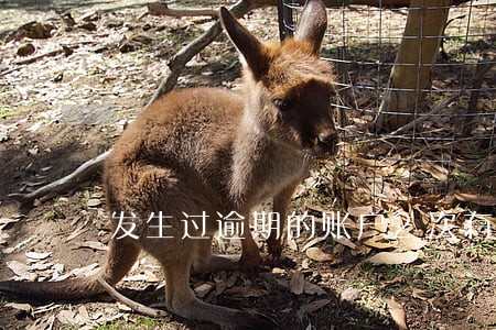 发生过逾期的账户2次有什么影响 发生过逾期的账户2次有什么影响