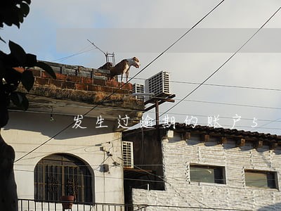 发生过逾期的账户5 发生过逾期的账户5