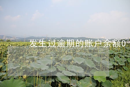 发生过逾期的账户余额0 发生过逾期的账户余额0
