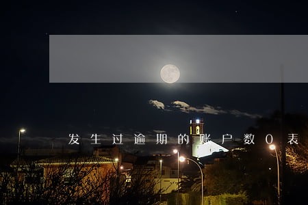 发生过逾期的账户数0表示