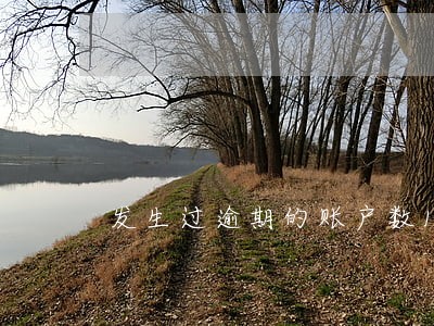 发生过逾期的账户数15 发生过逾期的账户数15