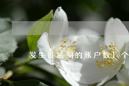 发生过逾期的账户数1个 发生过逾期的账户数1个