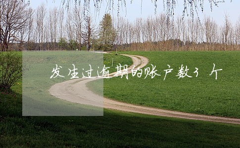 发生过逾期的账户数3个