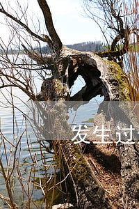 发生过逾期的账户数7能房贷吗 发生过逾期的账户数7能房贷吗