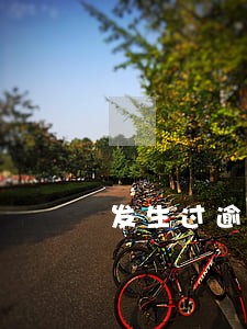发生过逾期的账户数为2 发生过逾期的账户数为2