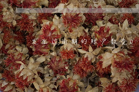 发生过逾期的账户数变0
