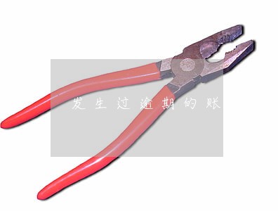 发生过逾期的账户数有6个 发生过逾期的账户数有6个