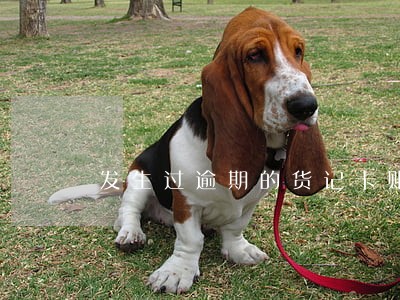 发生过逾期的货记卡账户明细2 发生过逾期的货记卡账户明细2