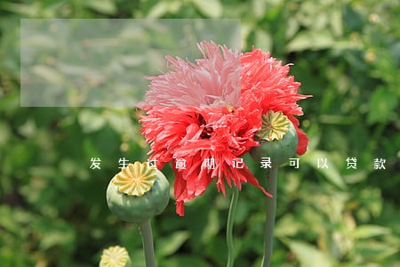 发生过逾期记录可以贷款吗 发生过逾期记录可以贷款吗