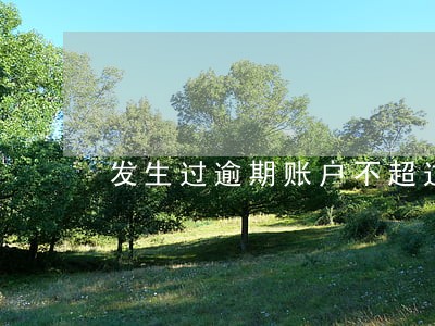 发生过逾期账户不超过90天 发生过逾期账户不超过90天