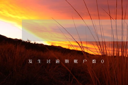 发生过逾期账户数0 发生过逾期账户数0