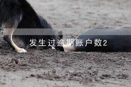 发生过逾期账户数2 发生过逾期账户数2
