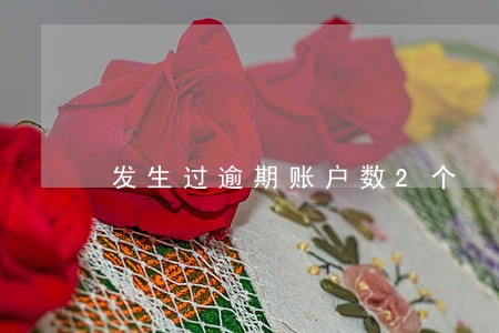 发生过逾期账户数2个 发生过逾期账户数2个