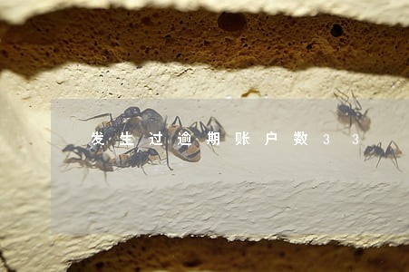 发生过逾期账户数33 发生过逾期账户数33
