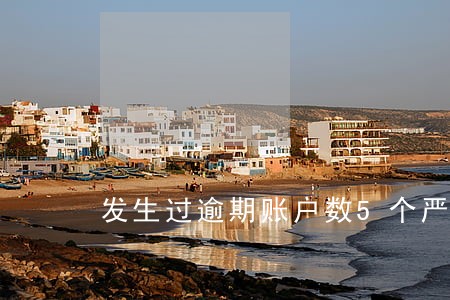 发生过逾期账户数5个严重么