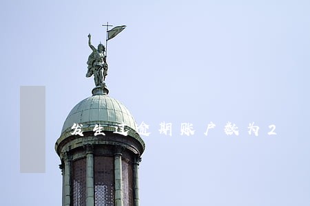 发生过逾期账户数为2 发生过逾期账户数为2