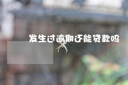 发生过逾期还能贷款吗 发生过逾期还能贷款吗