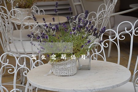 发生逾期信用